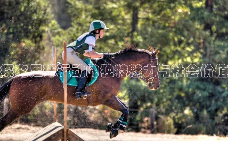 门徒平台登录地址路畅科技