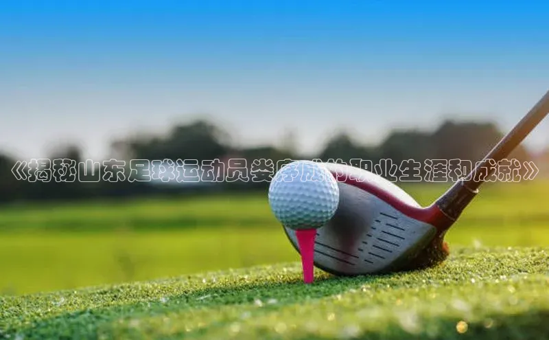 门徒娱乐平台登录入口阿里尔公司
