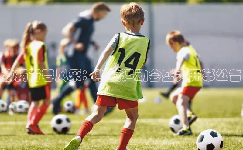 门徒娱乐在线登录