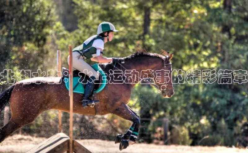 门徒注册登录地址